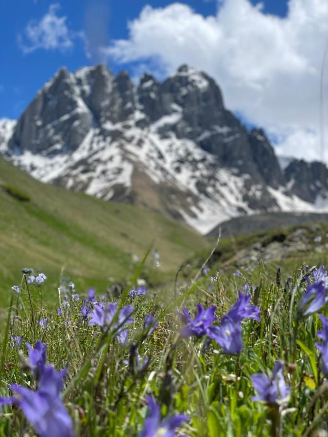 Aura Cottages Kazbegi Εξωτερικό φωτογραφία